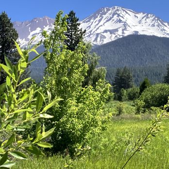 Sisson Meadow - View of Mt Shasta - Parks Near Me - Mount Shasta, California