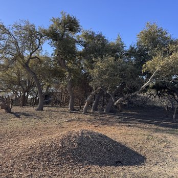 Tree Butler - Tree Services Near Me Tree Butler - Tree Services Near Me