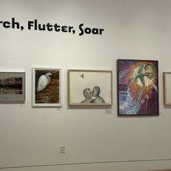 Monca - Museum of Northern California Art