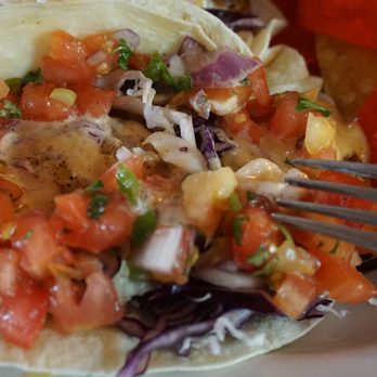 Key Largo Conch House - Blacken Hogfish Taco - Seafood Near Me - Key Largo, Florida
