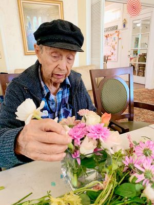 Alexander Gardens by null