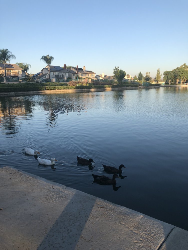 LA PALOMA PARK Updated October 2024 30469 Menifee Rd, Menifee