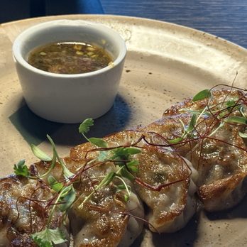 TAKATO - Waygu mandu - Japanese Near Me - Fort Lauderdale, Florida TAKATO - Waygu mandu - Japanese Near Me - Fort Lauderdale, Florida