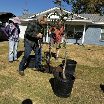 Innovative Constructions & Landscapes - Red Oak to replace a tree that was knocked down in the storm - Landscaping Near Me Innovative Constructions & Landscapes - Red Oak to replace a tree that was knocked down in the storm - Landscaping Near Me