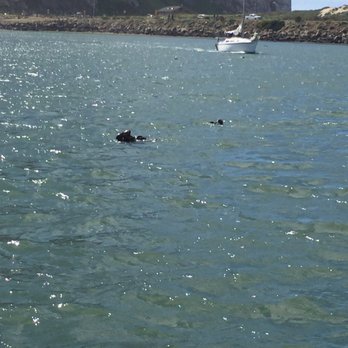 Sub Sea Tours - Rafting/Kayaking Near Me - Morro Bay, California Sub Sea Tours - Rafting/Kayaking Near Me - Morro Bay, California
