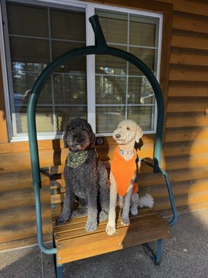 Fireside Lodge by null