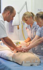 Site Response - safety consultant in Olympia, WA