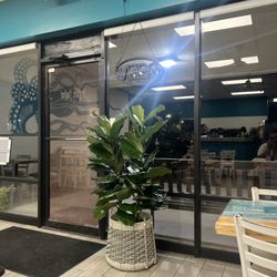 Los Cabos Seafood