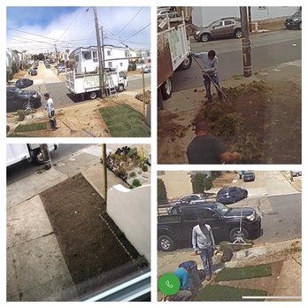 Life Garden - From weeds to new sod. - Landscaping Near Me Life Garden - From weeds to new sod. - Landscaping Near Me