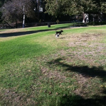 Ocean Avenue Park - Dogs playing. - Parks Near Me - Ventura, California Ocean Avenue Park - Dogs playing. - Parks Near Me - Ventura, California