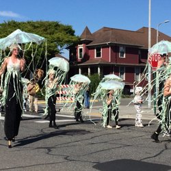 The Procession of the Species