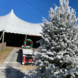 Jim's Trees - Offering traditional snow-flocked trees