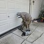 Pest Possum