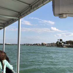 Winter's Dolphin Tale Adventure