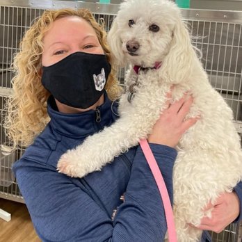 Stringtown Animal Hospital - Dr. Scott and my dog. - Veterinarians Near Me - Grove City, Ohio Stringtown Animal Hospital - Dr. Scott and my dog. - Veterinarians Near Me - Grove City, Ohio