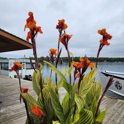 Boldt Castle