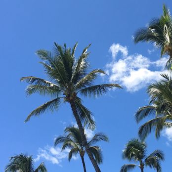 Baby Beach - Postcard worthy. - Beaches Near Me - Lahaina, Hawaii Baby Beach - Postcard worthy. - Beaches Near Me - Lahaina, Hawaii