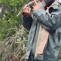 Cajun Style Swamp Tours