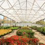 Photo of Stowe's Nursery