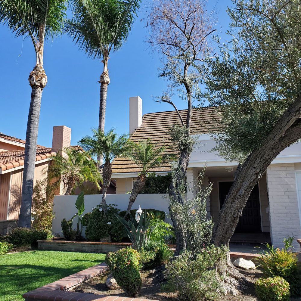 Painting Renovations - undefined - Painters Near Me - Artesia, California Painting Renovations - undefined - Painters Near Me - Artesia, California