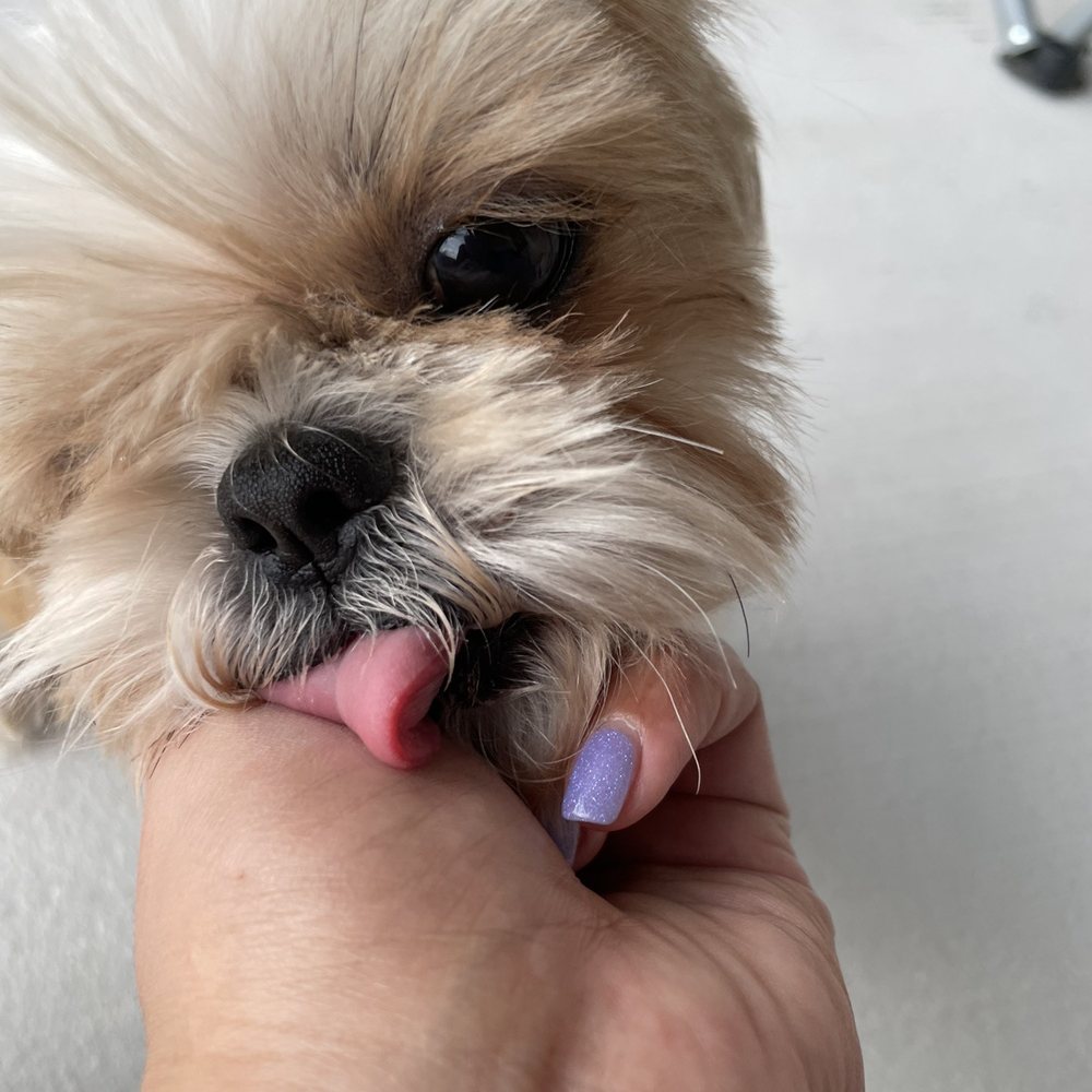 Only pic I could find/ dip powder over my nail with no real filing I asked for. A lazy older lady.