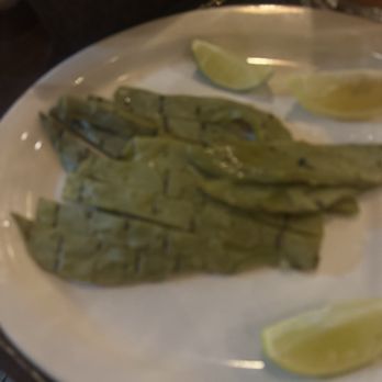 El Canaveral Mexican Restaurant - Cactus. - Mexican Near Me - Stuttgart, Arkansas