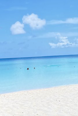 Carnival Cruise Line Baltimore by null