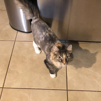 Animal Health Care Center 22 Photos 14 Reviews Veterinarians 1115 W Mayfield Rd Arlington Tx Phone Number