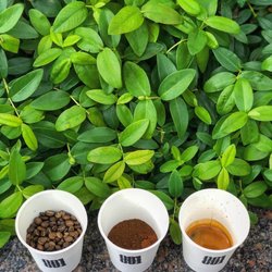 801 Coffee Roasters