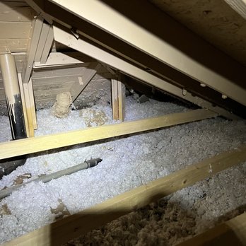 Oaktree Home Inspections - Attic painted for mold - Home Inspectors Near Me Oaktree Home Inspections - Attic painted for mold - Home Inspectors Near Me