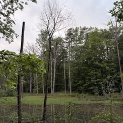RibbonWalk Nature Preserve