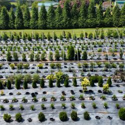 Caney Creek Nursery