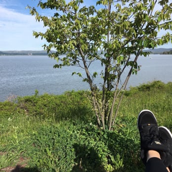 Croton Point Park - My thinking spot ! - Parks Near Me - Croton-on-Hudson, New York