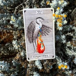Nina Yasmin Tarot