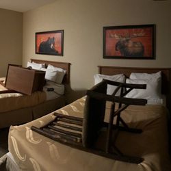 Boarders Inn & Suites by Cobblestone Hotels - Waukon - Yeah, I walked into my room like this. All the furniture was moved on the beds...