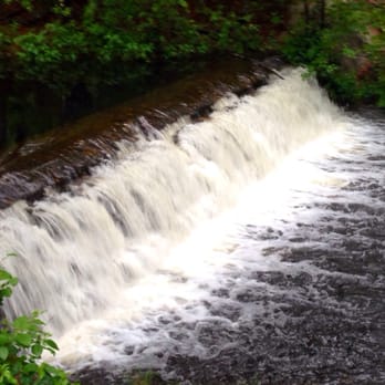 Sesquicentennial State Park - Parks Near Me - Columbia, South Carolina
