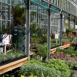 Bodmin Plant and Herb Nursery