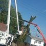 Photo of All Year Round Tree Service