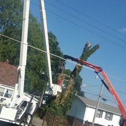 All Year Round Tree Service
