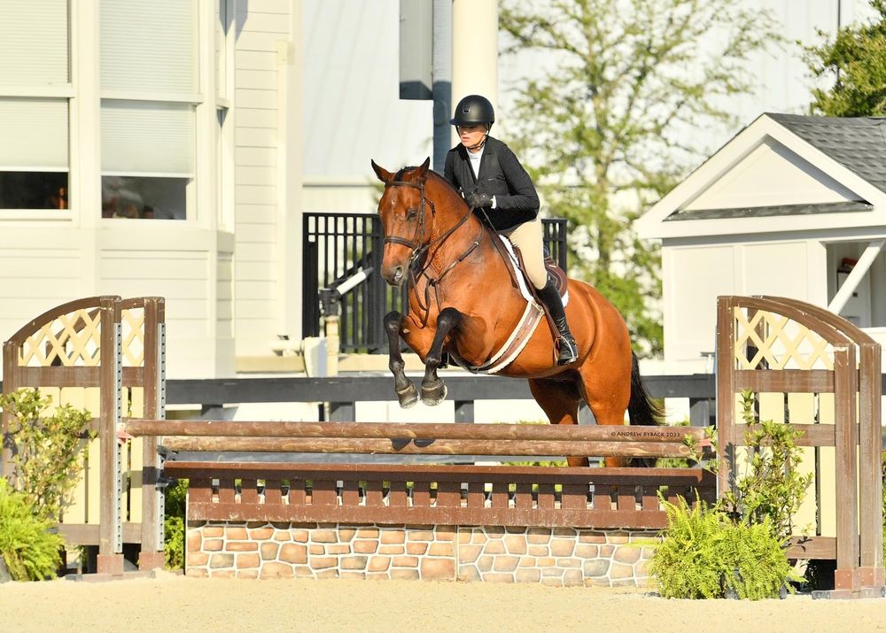 Switch Willo Stables - equestrian in Austin, TX