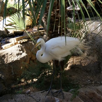 Micke Grove Zoo - Zoos Near Me - Lodi, California