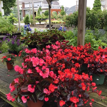 Forge River Nursery and Garden Center - Nurseries & Gardening Near Me - Mastic, New York Forge River Nursery and Garden Center - Nurseries & Gardening Near Me - Mastic, New York