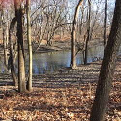 Harms Woods