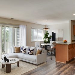 Oakland Hills Apt