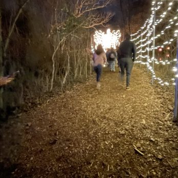 WINTER CITY LIGHTS - Updated December 2025 - 108 Photos & 45 Reviews - 4501 Olney Laytonsville