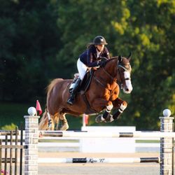 Summer Hill Farms - J & Happy Boy