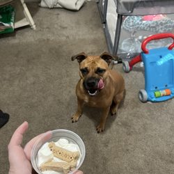 McDonald's - Pup cup