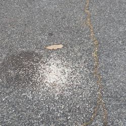 More fertilizer on the street  than was used in my yard. I need to call SJ hazmat to come and clean up tomorrow.