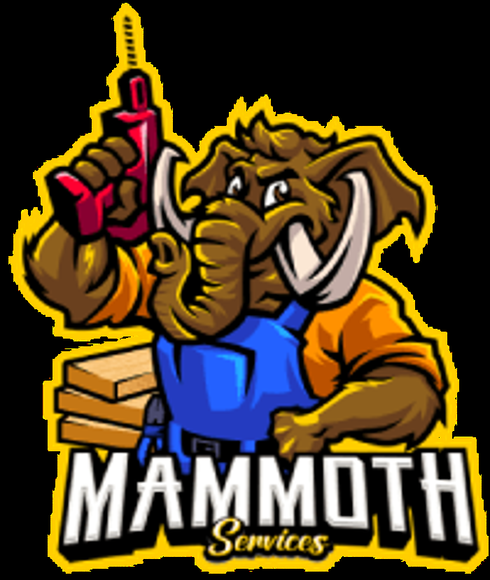 Slide of Mammoth Services