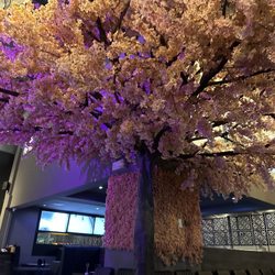 XO Bistro & Bar - Pretty tree